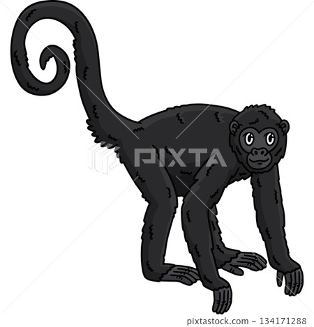Spider Monkey Animal Cartoon Colored Clipart  134171288