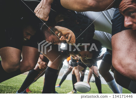 Sports, rugby and players in a scrum on a field during a game, workout or training in a stadium. Fitness, performance and group of athletes in position on an outdoor grass pitch for match or practice 134171446