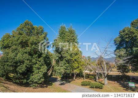 初冬時節的嵐山東公園，京都 134171617