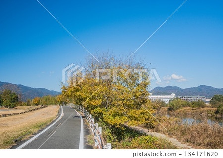 嵐山東公園運動場、景繩自行車道、京都市 134171620