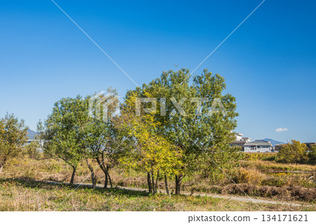京都桂川河岸初冬景色 134171621
