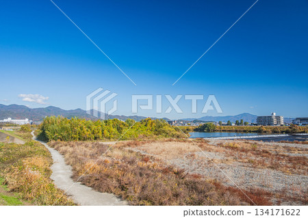 京都桂川河岸初冬景色 134171622