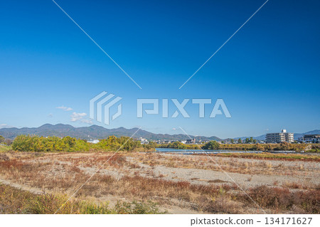 Early winter scenery of the Katsura River riverbank, Kyoto City Early winter scenery of the Katsura River riverbank, Kyoto City 134171627
