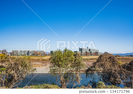 京都桂川初冬景色 134171796