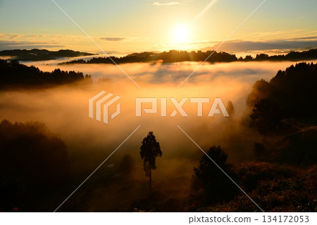 Dawn of Gamo Rice Terrace Undiscovered Morning glow Dawn of Gamo Rice Terrace Undiscovered Morning glow 134172053