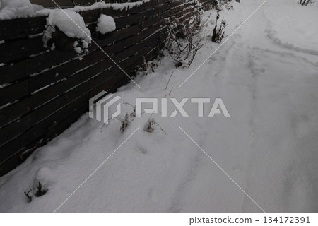 一座被雪覆蓋的花園 一座被雪覆蓋的花園 134172391