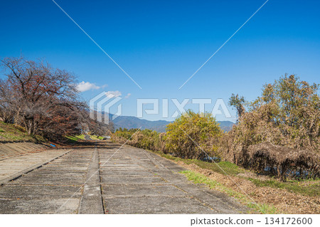 京都桂川河岸初冬景色 134172600