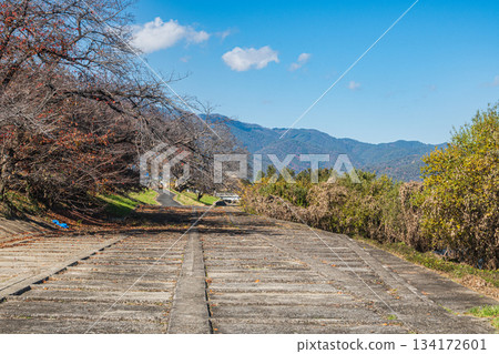 京都桂川河岸初冬景色 134172601