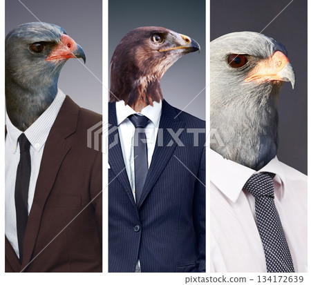 Collage, leadership and animal head or business people or alpha surrealism with eagle boss on studio background. Abstract, hawk and predator or corporate power birds or wild or strong and dangerous Collage, leadership and animal head or business people or alpha surrealism with eagle boss on studio background. Abstract, hawk and predator or corporate power birds or wild or strong and dangerous 134172639
