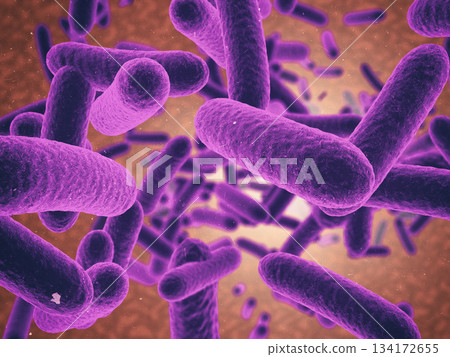 Microscopic bacteria of virus in purple illustration for healthcare, medical research or investigation on orange background. Zoom of particles or molecules for science, health or disease in dna study Microscopic bacteria of virus in purple illustration for healthcare, medical research or investigation on orange background. Zoom of particles or molecules for science, health or disease in dna study 134172655