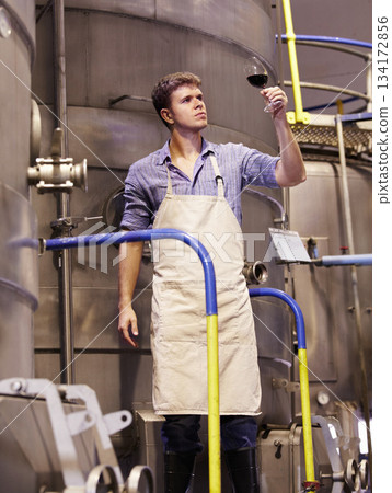 Man, wine manufacturing at distillery and alcohol making process with inspection of drink in glass and winery. Young male winemaker, fermentation of alcoholic beverage and person check product 134172856