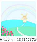 Windmills and tulips 134172872