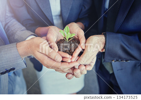 Business, plants in group hands for eco environment growth and zoom closeup. Teamwork or collaboration, sustainability in green startup project and corporate people holding soil for earth day Business, plants in group hands for eco environment growth and zoom closeup. Teamwork or collaboration, sustainability in green startup project and corporate people holding soil for earth day 134173525