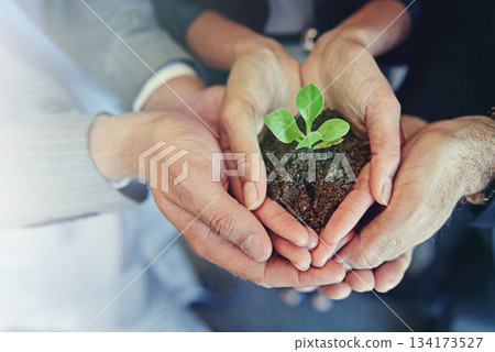 Closeup, hands and group with a plant, business and sustainability for development, economic growth and startup. Zoom, staff and employees with seedling, dirt and hope with entrepreneurship and goal Closeup, hands and group with a plant, business and sustainability for development, economic growth and startup. Zoom, staff and employees with seedling, dirt and hope with entrepreneurship and goal 134173527