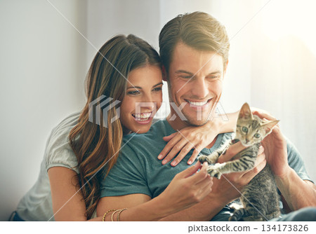 Kitten, love or happy young couple play and in their home. Support or caring, smiling people with animal and happy family with cat pet spending quality or bonding time in living room at house Kitten, love or happy young couple play and in their home. Support or caring, smiling people with animal and happy family with cat pet spending quality or bonding time in living room at house 134173826