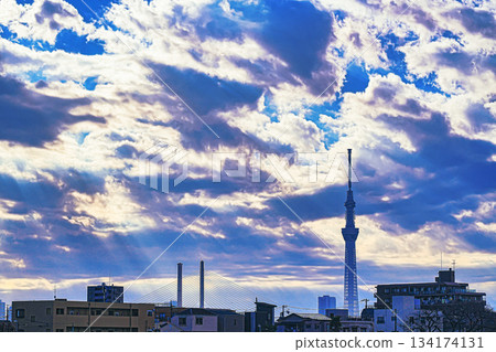 Skytree and Angel's Ladder 134174131