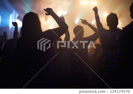 Lights, energy and people dancing at music festival from back, night and silhouette at live concert event. Dance, fun and group of excited fans in arena at rock band performance or crowd at party. Lights, energy and people dancing at music festival from back, night and silhouette at live concert event. Dance, fun and group of excited fans in arena at rock band performance or crowd at party. 134174570