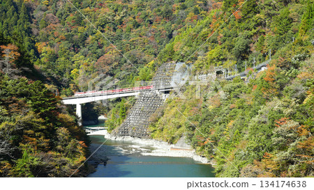 大井川鐵道井川線ABT系統列車 134174638