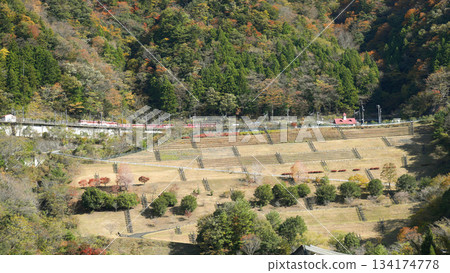 大井川鐵道井川線ABT系統列車 134174778