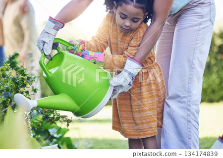 Children, watering plants and a mother teaching her daughter about growth or sustainability in the garden. Family, spring or gardening with a woman and female child outdoor in the backyard together Children, watering plants and a mother teaching her daughter about growth or sustainability in the garden. Family, spring or gardening with a woman and female child outdoor in the backyard together 134174839