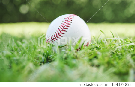 Baseball, sports and recreation with a ball on the grass, closeup waiting for a game or competition. Earth, fitness and training with a softball on a lawn, pitch or grass for sport activity outdoor Baseball, sports and recreation with a ball on the grass, closeup waiting for a game or competition. Earth, fitness and training with a softball on a lawn, pitch or grass for sport activity outdoor 134174853