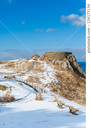 青森縣足重崎展望台和種差海岸的雪景 134175134