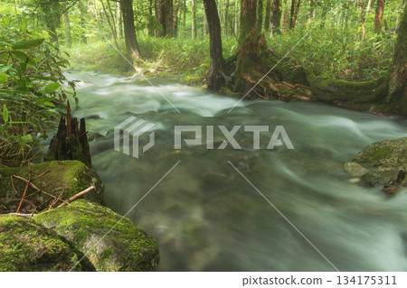 Beautiful scenery of mountain stream 134175311