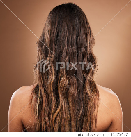 Back, hair and beauty with a model woman in studio on a brown background for natural or keratin treatment. Aesthetic, salon and shampoo with a female customer at the hairdresser for luxury haircare Back, hair and beauty with a model woman in studio on a brown background for natural or keratin treatment. Aesthetic, salon and shampoo with a female customer at the hairdresser for luxury haircare 134175427