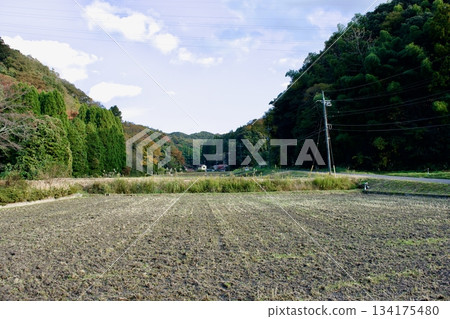 山陰的秋天：島根郡的鄉村景色 134175480