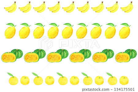 Hand-painted watercolor yellow fruit and vegetable decorative line set (banana, lemon, pumpkin, yuzu) 134175501