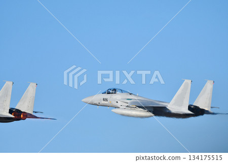 航空自衛隊F15戰鬥機 134175515