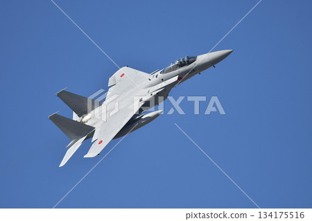 航空自衛隊F15戰鬥機 134175516