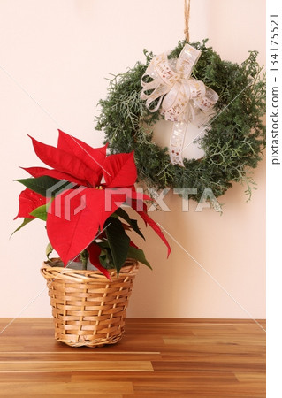 一品紅和花環 134175521