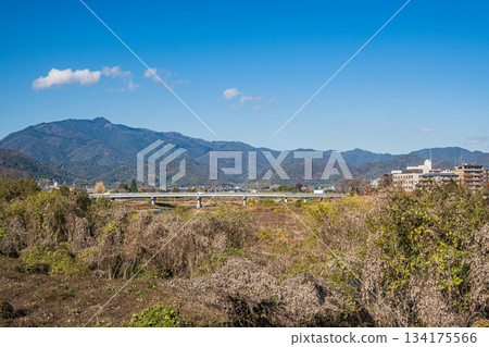 京都桂川河岸初冬景色 134175566