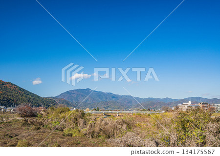 京都桂川河岸初冬景色 京都桂川河岸初冬景色 134175567