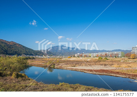 初冬時節的桂川，京都 134175577