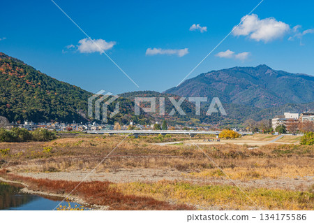 初冬時節的桂川，京都 134175586