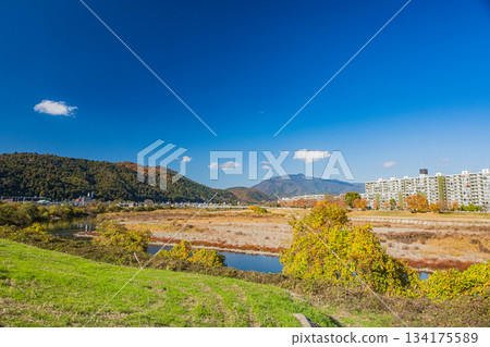 初冬時節的桂川，京都 134175589