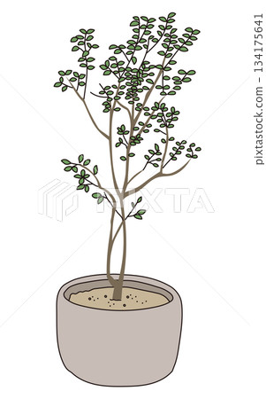 商業設施綠化設計 | 時尚外觀、灌木和象徵性樹木的向量圖 134175641