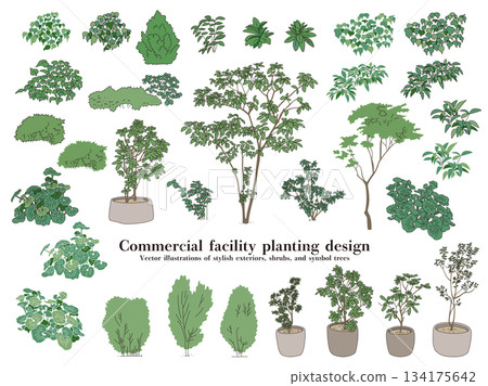 Commercial facility planting design | Vector illustrations of stylish exteriors, shrubs, and symbol trees 134175642