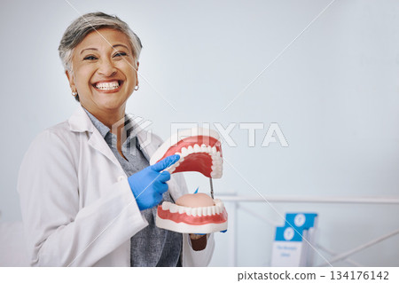 Dentist, dentures and portrait of senior woman for dentistry, medical and dental service in clinic. Healthcare, happy and female worker point to mouth mold for oral health, teeth cleaning and cavity 134176142