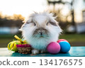 Easter decorations and bunnies 134176575