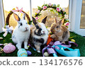 Easter decorations and bunnies 134176576