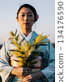Mimosa flowers and Japanese woman in kimono 134176590