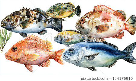 puppy yorkshire terrier on white background 134176910