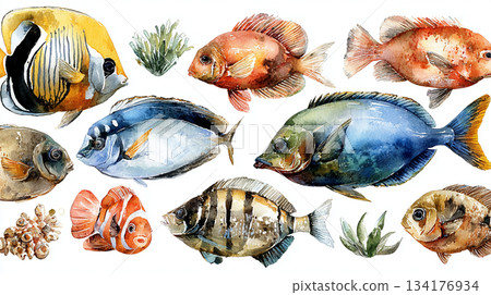watercolor illustration of fish sea food 134176934