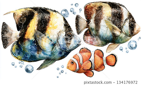 sea shells on a white background 134176972