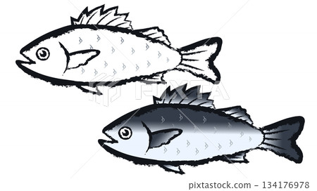 鈴木 鈴木 134176978