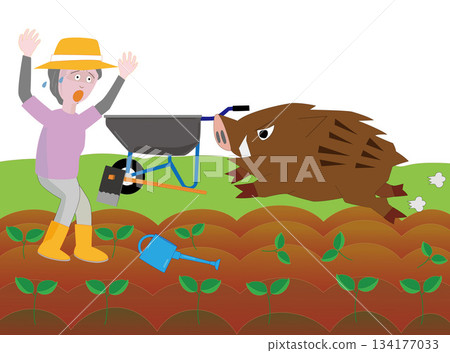 一位女士偶遇一頭野豬，感到非常驚訝。 134177033