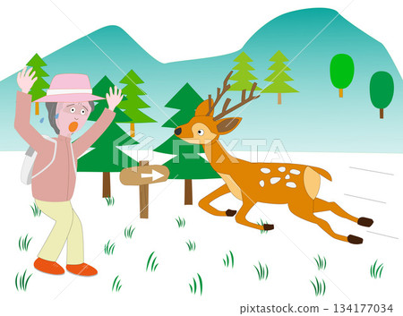 A woman is surprised to encounter a deer 134177034